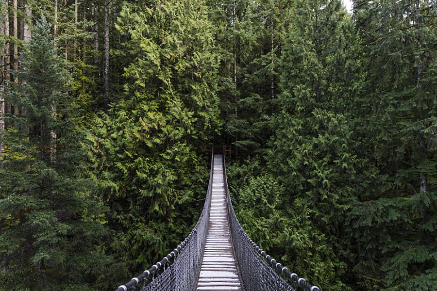 Fototapeta Drevený most v džungli 1431